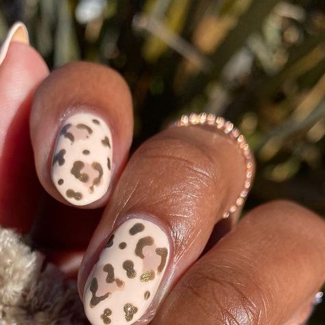 Lauren ✨ on Instagram: "•PR• Cheetah (Heart) Print 🐆 🤎 When your still into Valentine’s Day mani’s but want something more subtle Shades: @pearnova Frida Be Free*, Diana Boss*, & Cleo F*ckin Patra* Rings: @shopgirlscrew * *[pr]/gifted 💕" Be Free, Heart Print, Shades, Nails, Gifts, Instagram