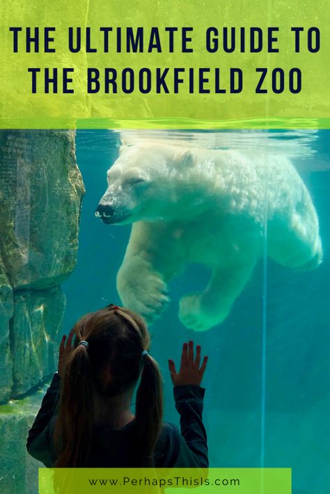 Brookfield Zoo Chicago, Zoo Trip, Illinois Travel, Brookfield Zoo, Chicago Hotels, Travel Inspiration Destinations, Things To Do With Kids, Travel Finds, Vacation Tips