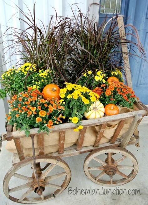 Ways to Decorate a Garden Cart or Wheelbarrow For Fall. Popular Pin Wagon Decor, Land Scaping, Fall Window Boxes, Fall Yard Decor, Fall Yard, Fall Garden Decor, Fall Planting, Fall Mums, Wheelbarrows