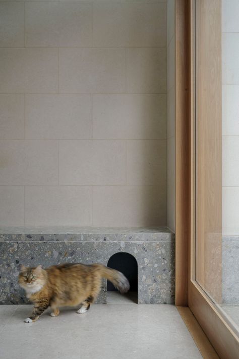 Concrete And Wood Architecture, Arch Entryway, Pet Spaces, Limestone Wall, Wood Architecture, London Architecture, Studios Architecture, London House, Architect House