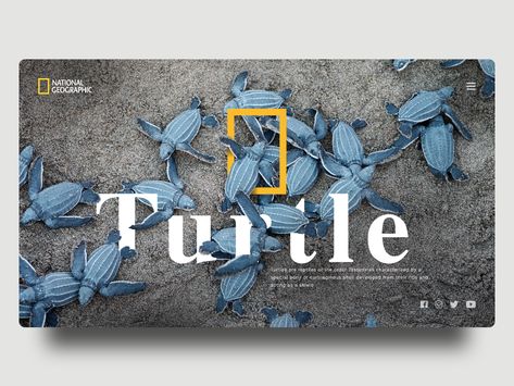 National Geographic Graphic Design, National Geographic Layout, Horizontal Graphic Design, Web Banner Design Creative, National Geographic Design, National Geographic Poster, Landscape Banner Design, Poster Design Competition, Wildlife Design