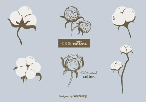 Free vector set of of cotton plant. Can be used as decor ellement , greeting cards and more. Cotton Plant Illustration, Cotton Flower Illustration, Cotton Plant Decor, Cotton Illustration, Feminine Branding Logo, Flax Flowers, Flower Logo Design, Cake Logo Design, Plant Vector