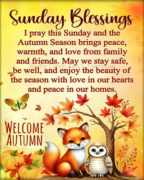 Sunday Fall Quotes, Sunday Fall, Fall Sunday, Quotes Sunday, Friends Autumn, Sunday Morning Quotes, Sunday Greetings, Sunday Blessings, Fall Quotes