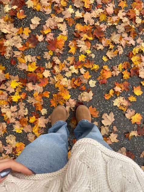 Fall Library Aesthetic, Romanticizing Fall, Seasons Aesthetic, Fall Widgets, Fall Szn, Studera Motivation, Herbst Bucket List, Fall Pics, Drømme Liv