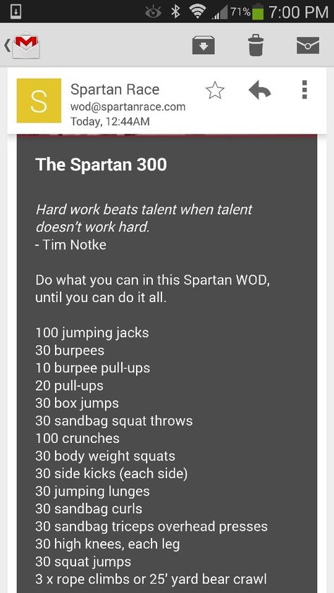 Spartan Race 300 workout Spartan Race Training Workouts, Spartan 300 Workout, Spartan Challenge, Obstacle Race Training, Spartan 300, Tough Mudder Training, Spartan Workout, Spartan Race Training, 300 Workout