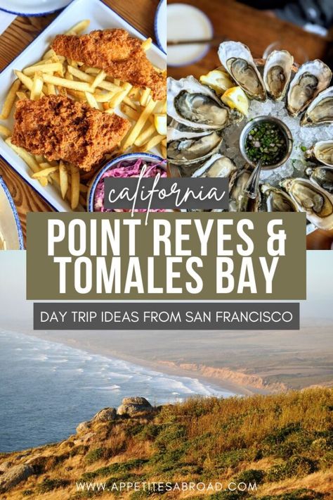 Day Trip Ideas, Tomales Bay, West Coast Travel, Pinnacles National Park, Abroad Travel, Travel Secrets, Point Reyes, Usa Travel Guide, Perfect Itinerary