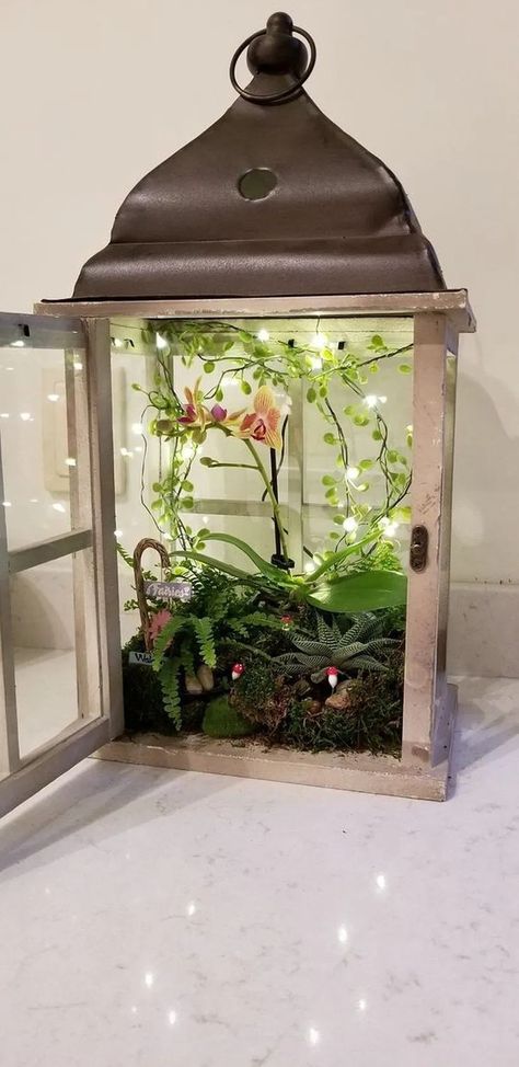 Lantern Terrarium, Terrarium Design, Indoor Fairy Gardens, Koti Diy, Fairy Lanterns, Lantern Ideas, Terrarium Containers, Fairy Garden Designs, Fairy Garden Crafts