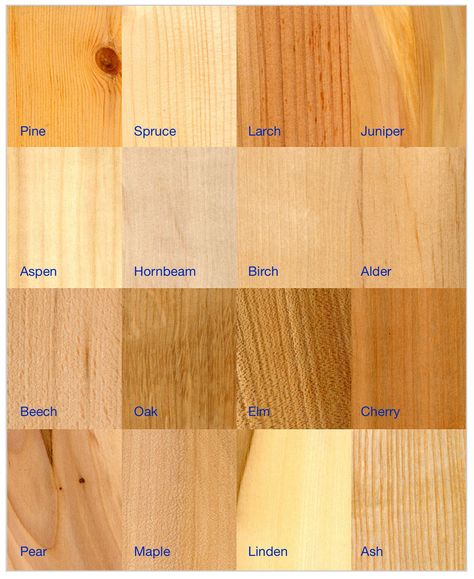 Wood Types For Furniture, Wood Colors Chart, Wood Types Chart, Wood Tones That Go Together, Types Of Wood Cabinets, Farmhouse Dining Room Paint, Dining Room Paint Color Ideas, Dining Room Paint Color, Paint Dining Room