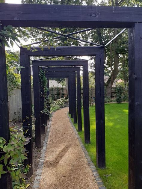 Vege Garden Ideas, Black Trellis, Landscaping Water Feature, Large Backyard Landscaping, Business Background, Modern Pergola, Back Garden Design, Diy Raised Garden, Garden Arbor