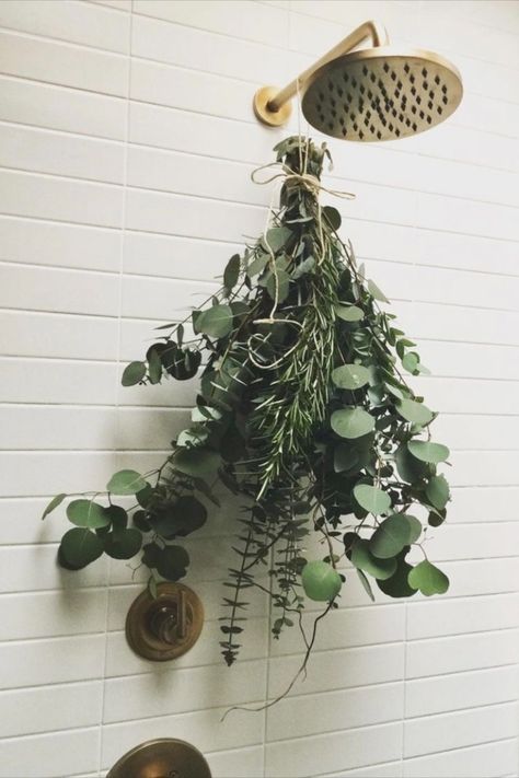 Flowers In Shower Bathroom, Eucalyptus Shower Head Aesthetic, Shower With Eucalyptus, Eucalyptus Shower Head, Eucalyptus Benefits, Eucalyptus In The Shower, Shower Plants, Decor Ideas With Plants, Hanging Eucalyptus