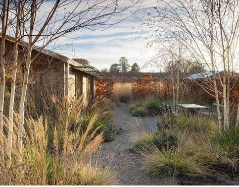 Karl Forester, Limestone Gravel, Winter Planting, Garden In Winter, English Landscape Garden, Modern English Country, Naturalistic Garden, Australian Native Garden, Brick Garden