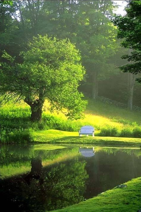 A hazy summer evening by the pond! Taman Air, France Photos, A Pond, Peaceful Places, Alam Yang Indah, Garden Cottage, A Park, Lush Green, Park Bench