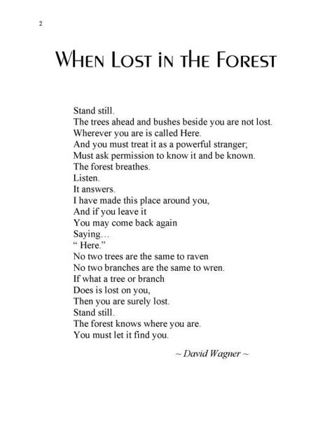 When Lost in the Forest Quotes About Forest, Forest Poems, Forest Poem, Bedtime Poems, Storm Poem, Forest Poetry, Ocean Poem, Wood Quotes, Nature Poems