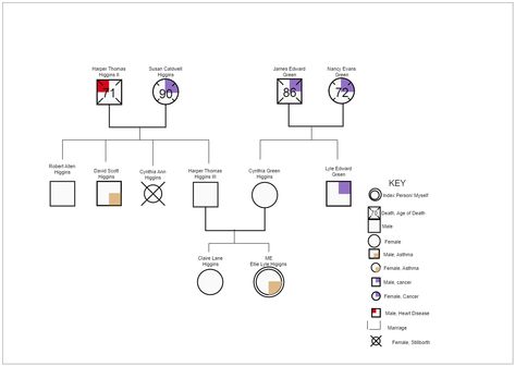 This is a family genogram of Higgins's. A family genogram can demonstrate the relationships between family members and the medical and disease history in the family. The family genogram is helpful in the field of medical and disease research. Drawing a family genogram can also assist doctors in better understanding the condition of patients. In a family genogram, there are various kinds of symbols, referring to different genders, diseases, and relationships. Family Genogram, Different Genders, Diagram Template, School Work, Family Members, Disease, Template Design, All In One, Medical