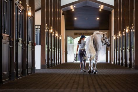 Brick Stables, Stable Inspiration, Luxury Horse Stables, Luxury Horse Barns, Horse Stables Design, Dream Barn Stables, Luxury Horse, Livestock Barn, Equestrian Stables