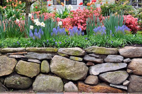 15 Beautiful Garden Wall Ideas for Your Landscape | Tilly Design Rock Garden Border, Patio Step, Shaded Garden, Trailer Deck, Stone Walls Garden, Garden Rock Border, Patio Benches, Stone Fence, Rock Walls