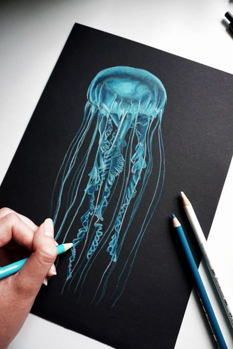 Jellyfish Drawing On Black Paper, White On Black Paper Drawing, Black Paper Drawing Colored Pencils, Things To Draw On Black Paper, Color Pencil On Black Paper, Painting On Black Paper, Markers Drawing Ideas, Canvas Art Painting Acrylic, Jellyfish Drawing