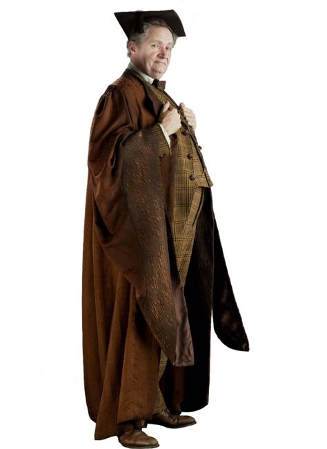 Kreacher Harry Potter, Horace Slughorn, Hogwarts Professors, Harry Potter Cosplay, Iron Man Armor, The Sorcerer's Stone, Dc Characters, Harry Potter Movies, Ron Weasley