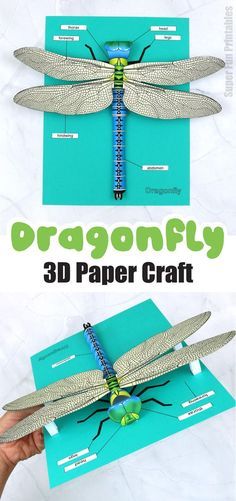 3d Dragonfly Craft, How To Make A Dragonfly, Dragonfly Template Free Printable, Insect Project, Insect Art Projects, Paper Dragonfly, Insect Craft, 3d Dragonfly, Paper Dragonflies