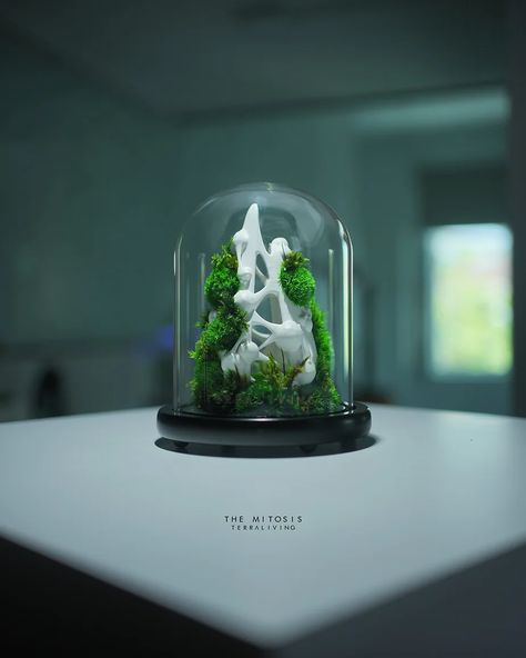 3D Printed Mitosis Sculpture in a terrarium by TerraLiving Ecological Architecture, Modern Terrarium, Eukaryotic Cell, Indoor Oasis, Beautiful Terrariums, Nano Aquarium, Indoor Greenhouse, 3d Printing Art, Terrarium Decor