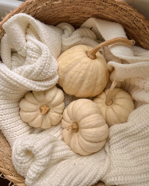 Cream Autumn Aesthetic, Halloween Beige Aesthetic, Fall Cream Aesthetic, Neutral Autumn Aesthetic, Fall Beige Aesthetic, Cream Fall Aesthetic, Beige Halloween Aesthetic, Beige Aesthetic Autumn, Aesthetic Beige Photos