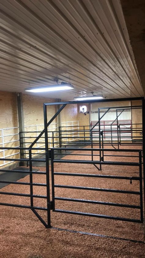 Show calf set up Cattle Show Box Ideas, Show Barn Ideas Cattle, Show Cattle Barn Layout, Cattle Showing, Show Cows Supplies, Cattle Barn Designs, Small Cattle Working Pens Design, Show Cattle Barn, Cattle Facility