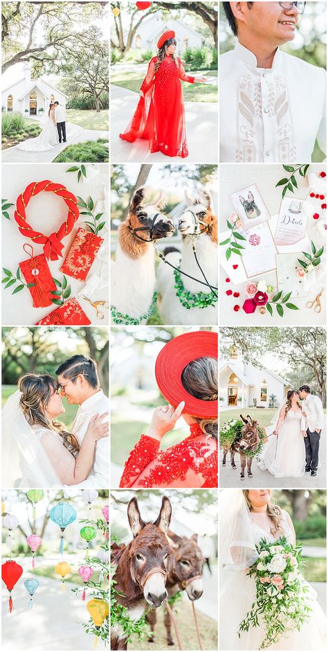 Katie AJ A Vietnamese Filipino American Wedding at The Chandelier of Gruene via @allisonjphoto Vietnamese Filipino Wedding, Mexican Vietnamese Wedding, Vietnamese American Wedding, Viet Wedding, Filipino Wedding, Vietnamese Wedding, Rustic Outdoor Wedding, Filipino Culture, Southern Bride