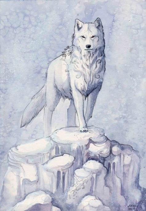 Majestic Wolf Paintings that will Leave You Amazed Polar Wolf, Wolf Sketch, Wolf Artwork, Wolf Painting, Fantasy Wolf, Charcoal Drawings, Wolf Wallpaper, Wolf Love, Wolf Drawing