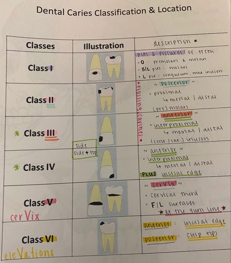 Dental Anatomy Study, Dental School Notes, Dental Assistant Cheat Sheet, Dental Notes, Dental Abbreviations, Dental Assisting Study Notes, Dental Assistant Study Notes, Dental Hygiene Study Guides, Dental Assisting Study