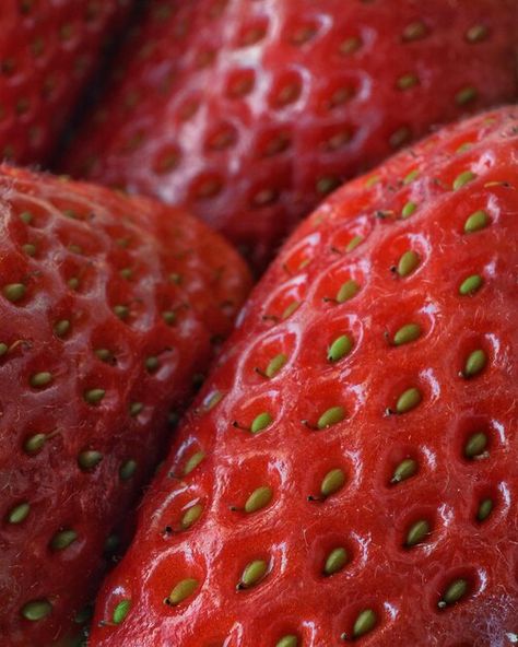 A close up of a strawberry | Premium Photo #Freepik #photo #red-berries #red-fruits #strawberry-background #strawberry Strawberry Activities, Strawberry Texture, Strawberry Photography, Strawberry Background, Texture Drawing, Fruit Recipes, Red Berries, Colored Pencil, Art Class