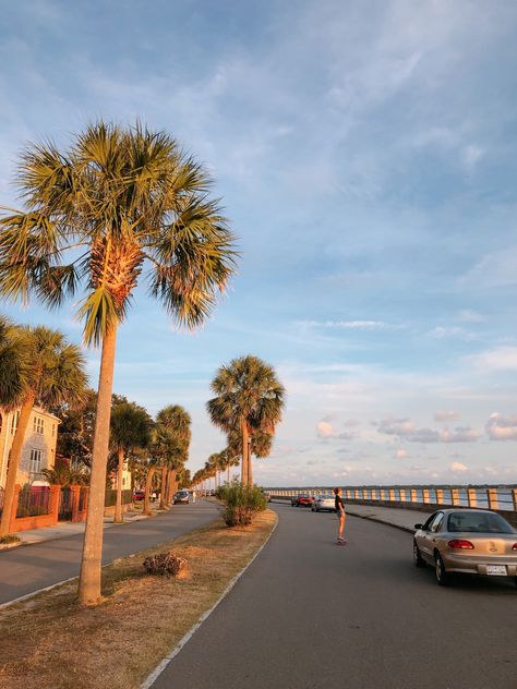 sunset at the battery in charleston, SC Battery Park Charleston Sc, The Battery Charleston Sc, Charleston Sc Pictures, Charleston Sc Aesthetic, Charleston Aesthetic, Charleston Battery, Meghan Fox, Turn It Into Art, 2024 Family