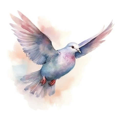 Flying Dove Drawing, Bird Flying Illustration, Flying Birds Painting, Flying Bird Art, Flying Bird Drawing, Dove Drawing, Bird Character, Flying Animals, South African Birds