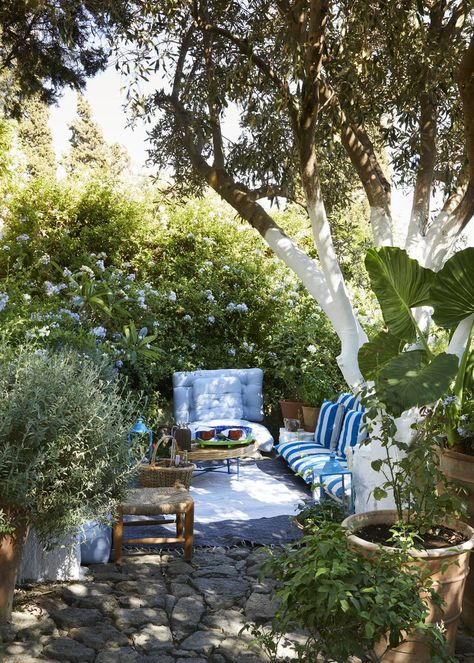 White Agapanthus, Greek Garden, Terrace Garden Ideas, Small City Garden, Townhouse Garden, Brick Paving, London Garden, Mediterranean Garden, Terrace Design