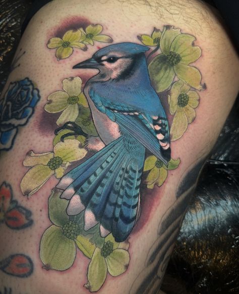 First one from my Guest spot @keyholetattoo on @matthewharpertattoo . Blue jay with dogwood flowers! . Would love to do more birds and animals 🥰🥰 . aimeetattoos@gmail.com . Thanks to my sponsors @barberdts @eternalink @tatsoul for always making my tattoos extra bright and crispy ✨✨✨ My Tattoos, Couple Activities, Dogwood Flowers, Blue Jay, Do More, I Tattoo, Jay, Birds, Tattoos