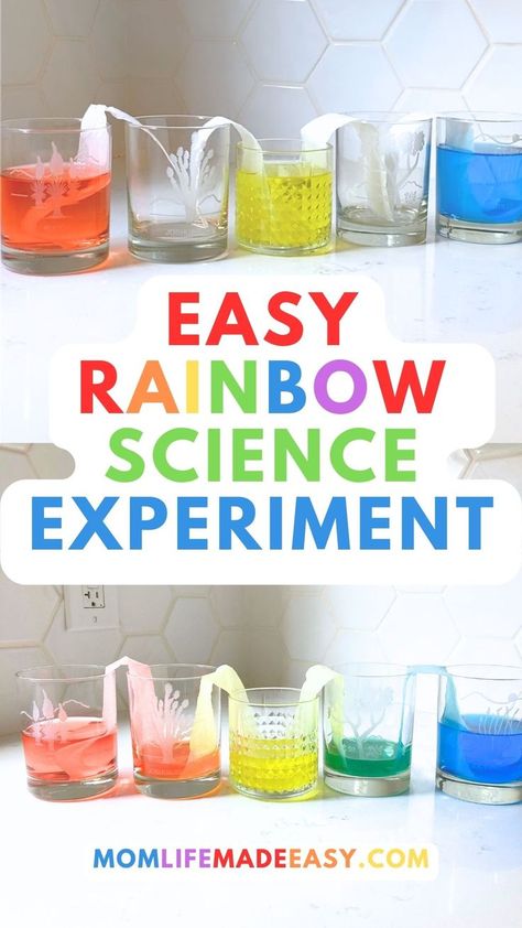 before and after images stacked on top of each other showing the colorful changes that occur during this rainbow stem activity for kids! The text reads "easy rainbow science experiment". Rainbow Stem, Rainbow Science Experiment, Stem Activity For Kids, Rainbow Science, Capillary Action, Easy Stem, Science Experiment For Kids, Experiment For Kids, Diy Science Experiments