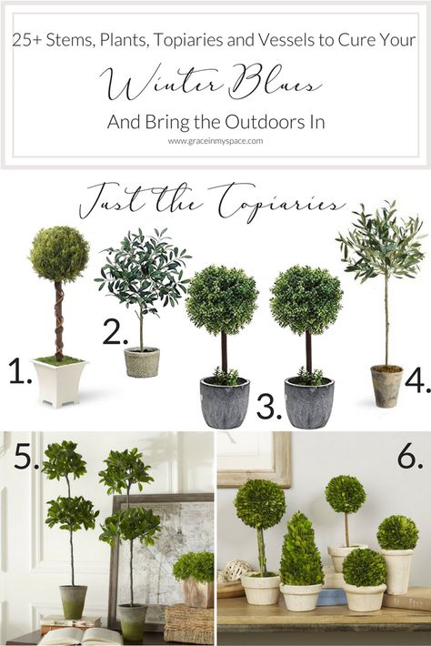 Do you need to bring the outdoors in to beat the winter blues this season? I've gathered 25+ faux stems, plants, topiaries and vessels for you to help bring spring indoors this winter! Fix your winter blues with these no-fuss ways to bring your home to life with plants and florals. Indoor Topiary Plants, Topiary Plants In Pots, Indoor Topiary, Faux Topiary, Faux Plants Decor, Faux Stems, Topiary Plants, Topiary Garden, Topiary Trees