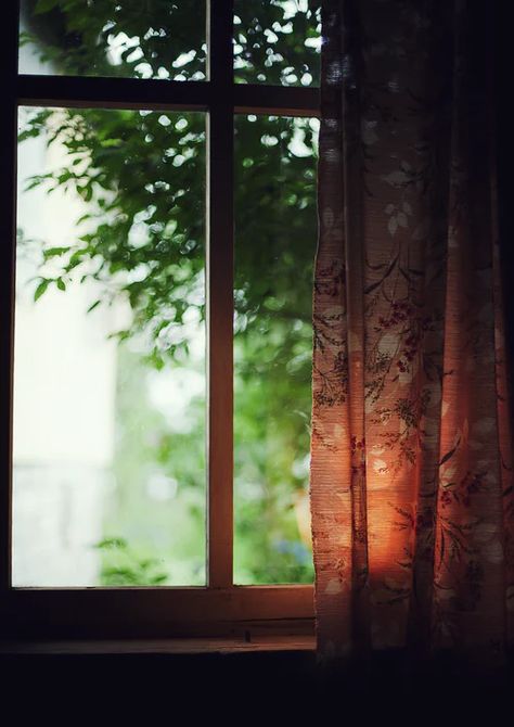 two black window curtains photo – Free Grey Image on Unsplash Black Floral Curtains, Hotel Linen, Photoshop Digital Background, Blur Photo Background, Photo Background Images Hd, Background Images For Editing, Property Brothers, Dslr Background Images, Light Background Images