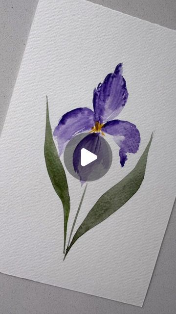 How To Paint Iris Flowers, Loose Watercolor Flowers Tutorial, Watercolour Iris, Iris Flower Watercolor, Flowers To Paint, Iris Watercolor, Watercolor Iris, Loose Watercolour, Loose Watercolor Flowers