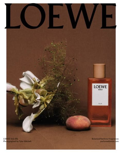 Loewe Botanical Rainbow Fragrances 2023 Campaign Loewe Perfume, African Botanics, Aw 2024, Jonathan Anderson, Product Shooting, Advertisement Design, Digital Campaign, Botanical Elements, Symbiotic Relationships