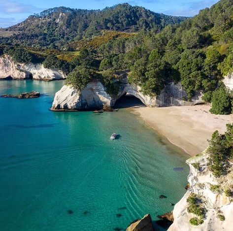 Cathedral Cove New Zealand, Cathedral Cove, New Zealand Landscape, Painting Reference, Dream Trip, Matte Painting, South Pacific, Filming Locations, Reference Images