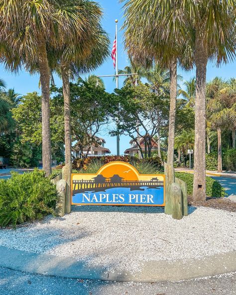 I 💞 Naples 🌴 . . . . #naplesflorida #naplesfl #naplespier #pier #city #town #cozytown #florida #palmtrees #palmtree #beach #saltlife #beachlife #beachvibes #vacation #vacationmode #floridalife #floridarealestate #floridaliving Naples Pier, Florida Living, Flo Rida, Naples Fl, Naples Florida, Salt Life, Vacation Mode, Beach Life, Naples