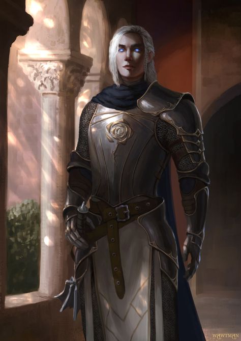 Pathfinder 2e, Medieval Knights, Fantasy Portraits, Commissioned Artwork, Dark Elf, Fantasy Armor, Fantasy Rpg, Fantasy Sci Fi, Paintings And Drawings