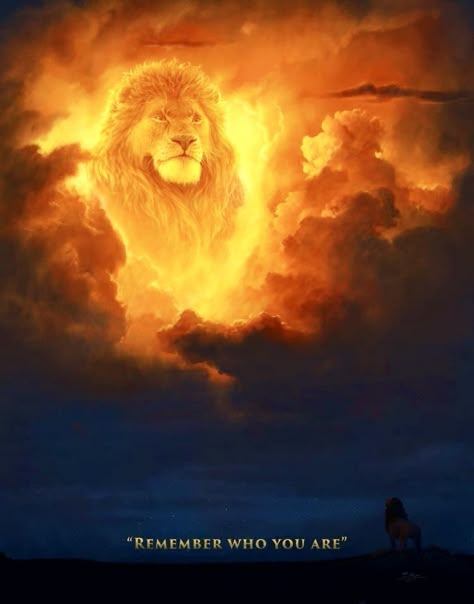 Mufasa Wallpaper, Mufasa Lion King, Lion King Wallpaper, Lion God, Lion King Quotes, Lion King Pictures, Lion King Movie, Il Re Leone, Lion King Art