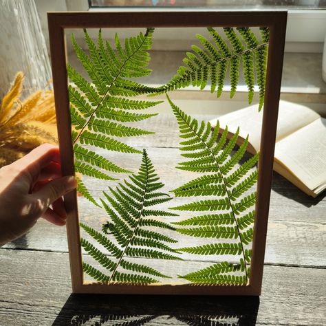 Perfect gift for a nature lover. Lovely dried flowers behind glass. Real dried fern. We creates floral frames with dried plants pressed inside. Delicate and subtle centerpieces for the lovers of nature and botanical art. The frame is made of real wood. Glass size 8" by 11 1/2" Frame size 9" by 12 1/2" This piece of sunny summer day will decorate the wall of your bedroom, dining room, or nursery. Decor looks so stylish, sophisticated, and will be a wonderful housewarming gift. The combination of Pressed Plant Wall Art, Pressed Ferns In Frames, Pressed Flower Storage Ideas, Pressed Flowers Decor, Pressed Fern Art, Dried Plant Art, Pressed Leaves Art, Subtle Centerpieces, Plant Picture Frame