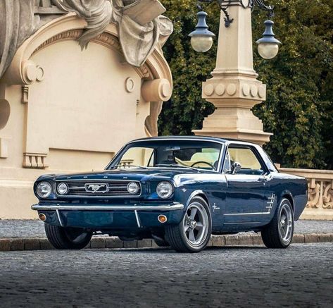 1966 Ford Mustang Coupe, 1965 Ford Mustang Coupe, Old Mustang Cars, Fort Mustang, Old Mustang, Mustang 65, Classical Cars, Mustang 1967, Mustang 1966