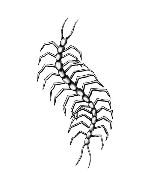 #digitalart #lineart #centipede #tattoo #tattooideas Centipede Tattoo, Mom Tattoos, Body Mods, Meaningful Tattoos, Art Class, Tattoos And Piercings, Art Classes, Bugs, Line Art