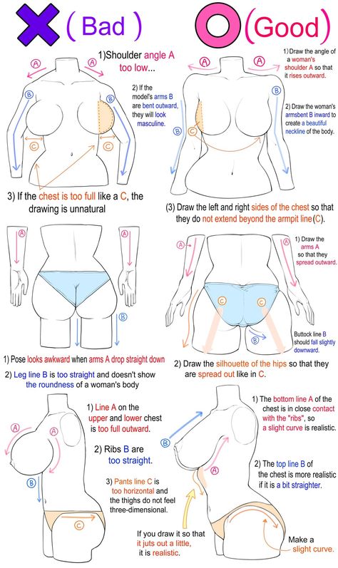 Female Proportions, Body Type Drawing, Female Anatomy Reference, Drawing Female Body, Human Anatomy Drawing, Body Drawing Tutorial, Body Reference Drawing, Art Tools Drawing, Sketches Tutorial