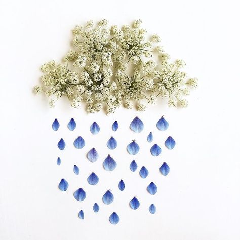 @floraforager Turns Nature Into Art Assemble Art, Pressed Flowers Diy, Flower Petal Art, Pressed Flower Crafts, Fleurs Diy, Pressed Flower Art, Dry Leaf, Flower Quotes, Deco Floral