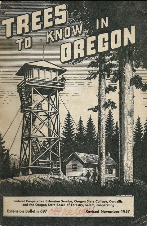 Oregon Trees, The Oregon Trail, Arte Peculiar, Central Oregon, Oregon State, Online Diary, Comfort And Joy, Vintage Poster Art, Real Men