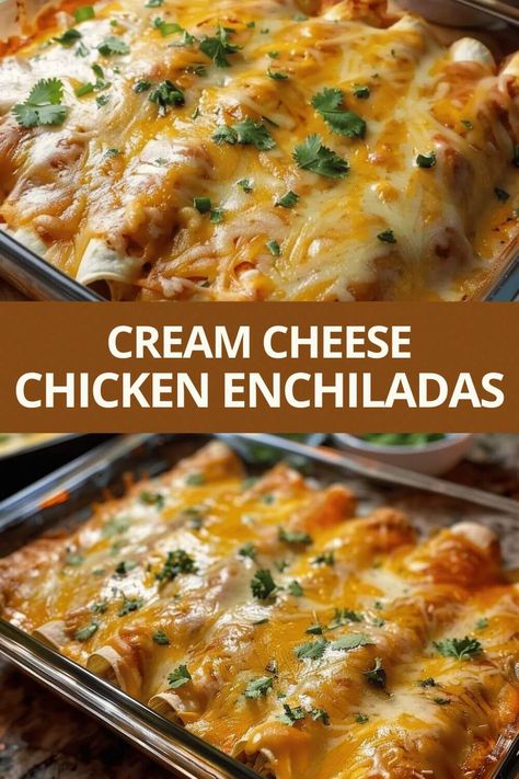 Cream Cheese Chicken Enchiladas!!! Chicken Enchilada Recipes, Red Sauce Enchiladas, Chicken Enchiladas Recipes, Chicken Cheese Enchiladas, Cream Cheese Enchiladas, Cream Cheese Chicken Enchiladas, Easy Chicken Enchilada Recipe, Cheesy Chicken Enchiladas, Creamy Chicken Enchiladas